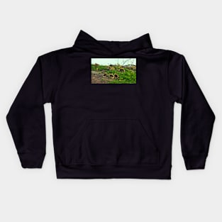 Multiple Young Canada Goose Goslings Resting In The Grass Kids Hoodie